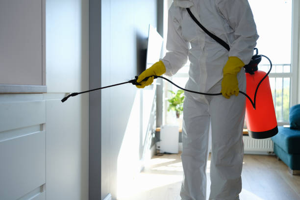 Best Mold Testing  in Snyder, OK